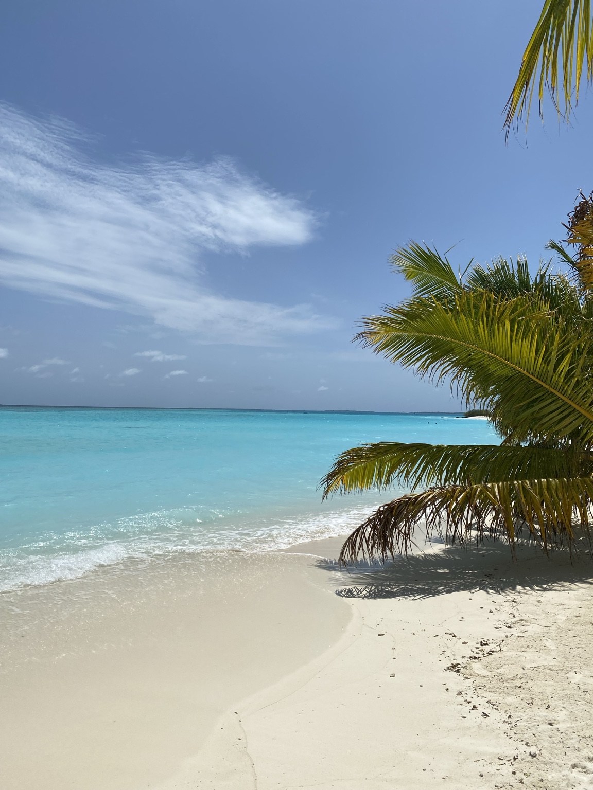 Praia tropical